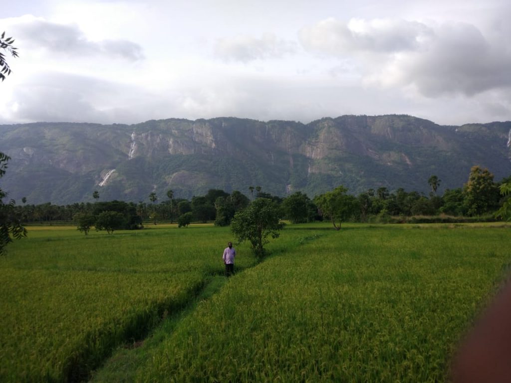 VILLAGE AND FARM TOURISM