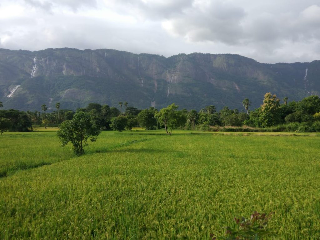 VILLAGE AND FARM TOURISM