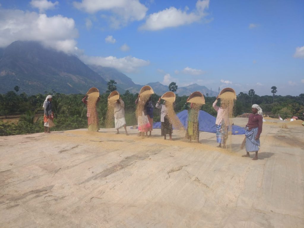 VILLAGE AND FARM TOURISM