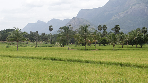 Responsible tourism kerala