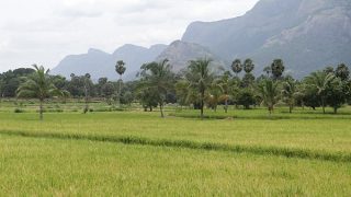 Responsible tourism kerala